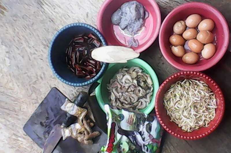 Racikan Pakan Murai Batu dari Seafood dan Jamu Tradisional (titaniumbirdfarm.com)