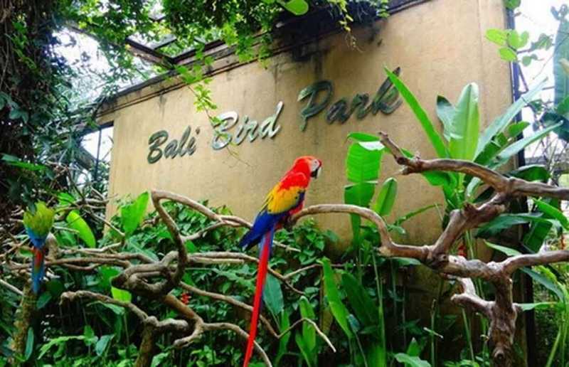 Taman Burung Bali (hargatiket.net)