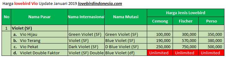 Harga Lovebird Violet Terbaru (lovebirdindonesia.com)