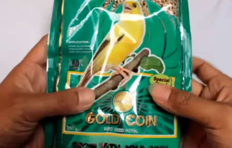 Review Pakan Kenari Gold Coin (youtube.com)