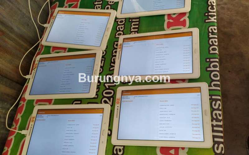 Tablet untuk Penilaian Lomba Burung dengan Aplikasi (Bonafide Indonesia Community)