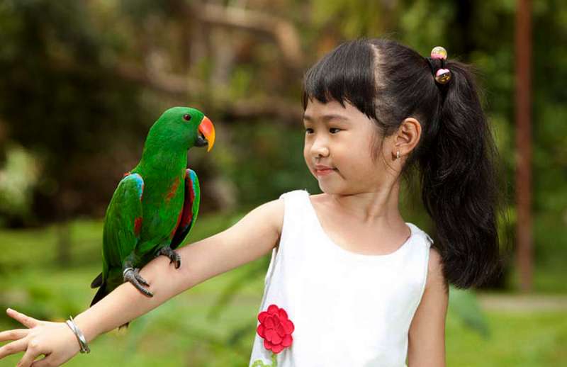 Taman Burung di Bali (Balibirdpark.com)