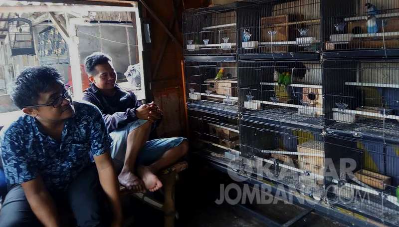 Akibat Virus Corona Omzet Pedagang Burung Turun Drastis (kabarjombang.com)