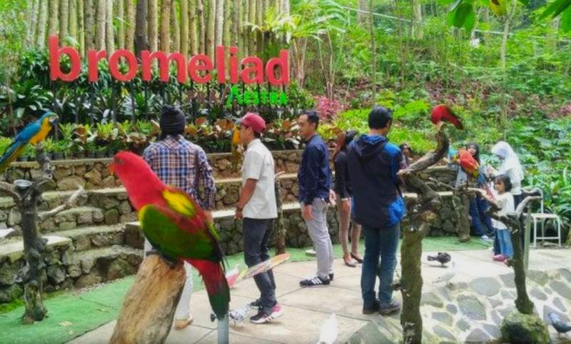 Taman Burung Bird and Bromelia Pavillion (pikiran-rakyat.com)