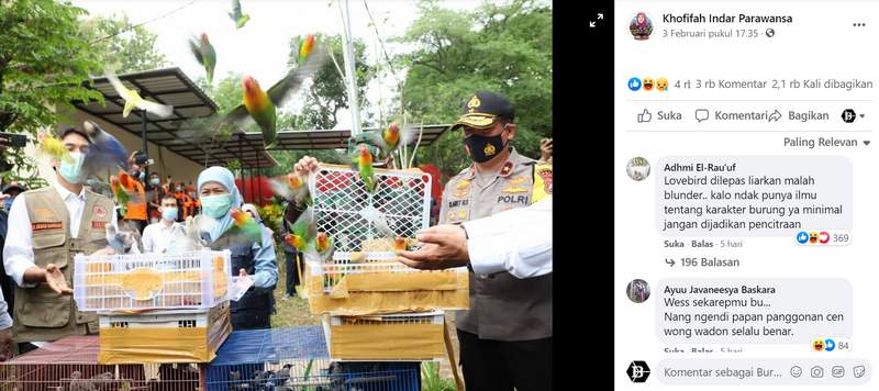 Gubernur Khofifah Lepaskan Burung Lovebird (facebook.com)