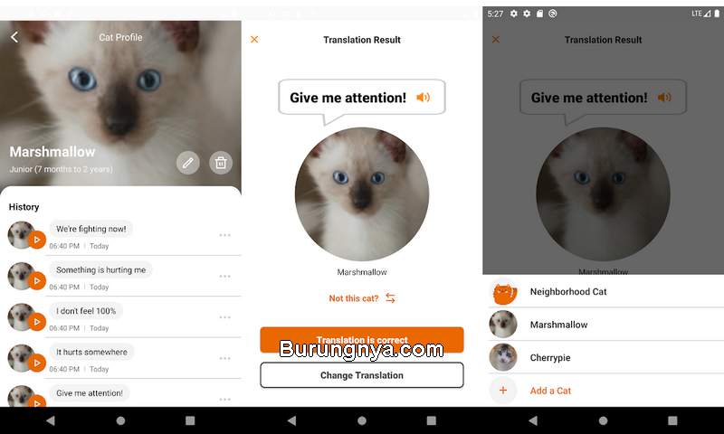 Aplikasi untuk mengetahui arti suara kucing (play.google.com)