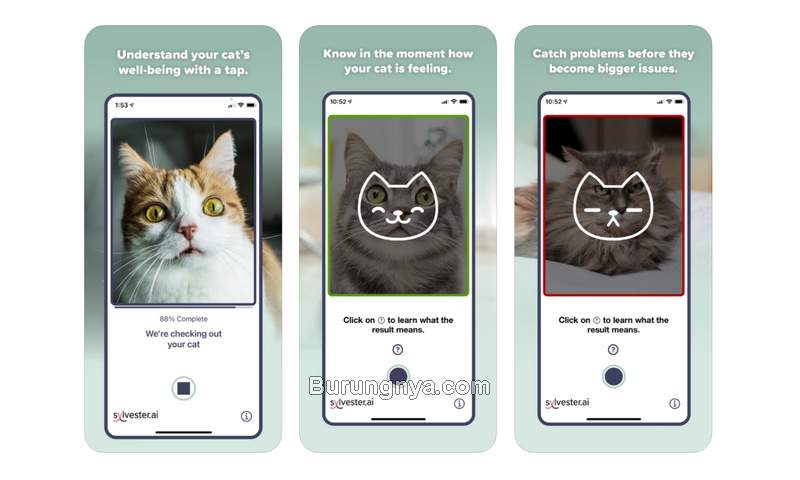 Aplikasi Untuk Mengetahui Kucing Sakit dari Foto Wajah (apple.com)