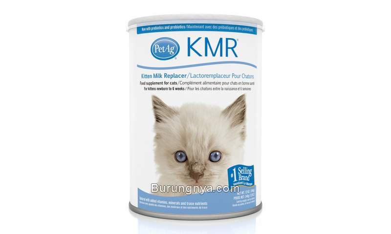 Susu Kucing PetAG KMR Kitten Milk (murdochs.com)