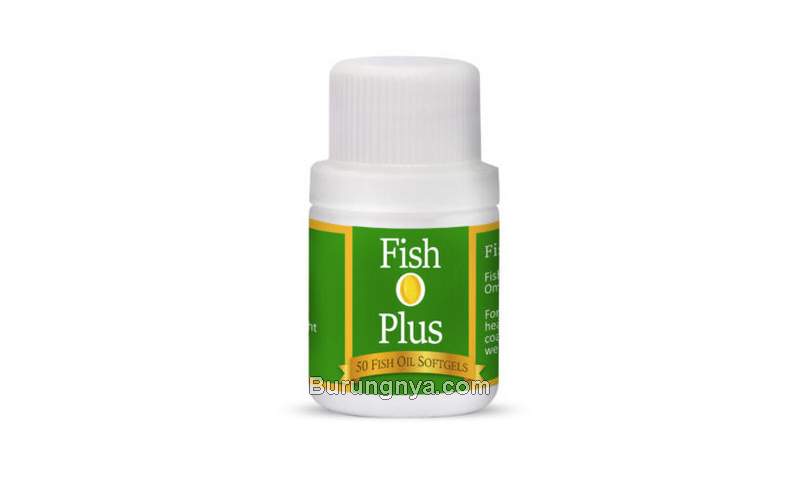 Minyak Ikan Fish O Plus (tridayavaruna.com)