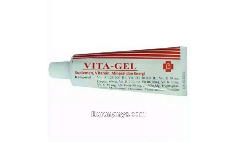 Vitamin Kucing Vita-Gel (lazada.co.id)