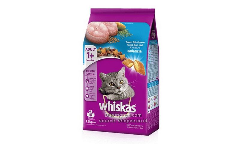 Makanan Kucing Anggora Whiskas Ocean Adult 1+