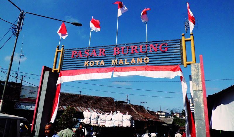 Pasar burung Splendid Malang (ariantifebi.blogspot.com)