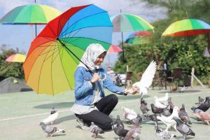 Taman Wisata Burung Dara Aceh (satuwisata.com)