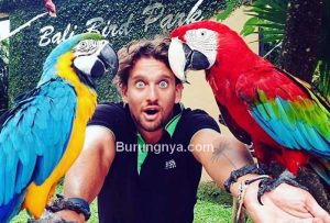 Wisata Burung Bali Bird Park (instagram.com)