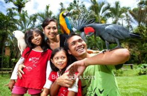Taman Burung Bali (balibirdpark.com)