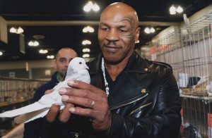Mike Tyson Pukul Tukang Sampah karena Burung Merpati (businessinsider.com)