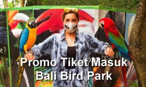 Promo Harga Tiket Masuk Bali Bird Park (instagram.com)