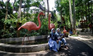 Taman Wisata Burung di Bandung Bird Bromelia Pavillion (firabani.blogspot.com)