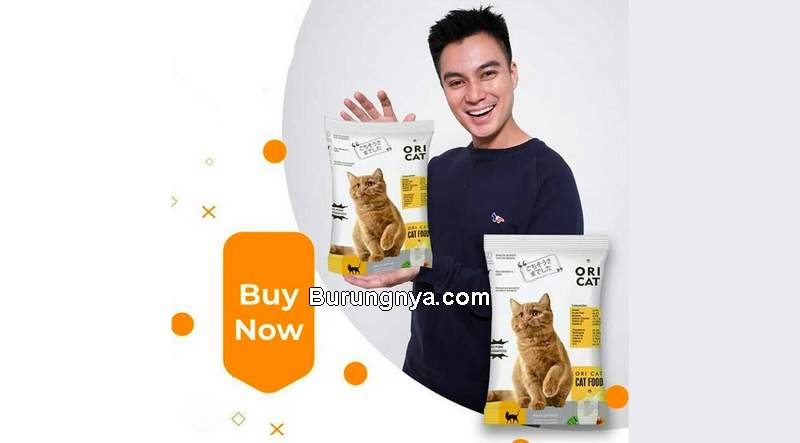 Makanan Kucing Murah Berkualitas (bukalapak.com)