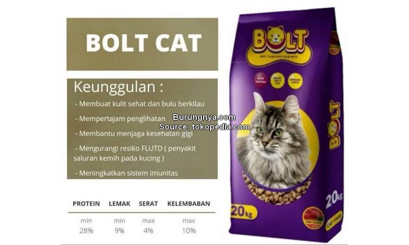 Makanan Kucing yang Bagus Bolt