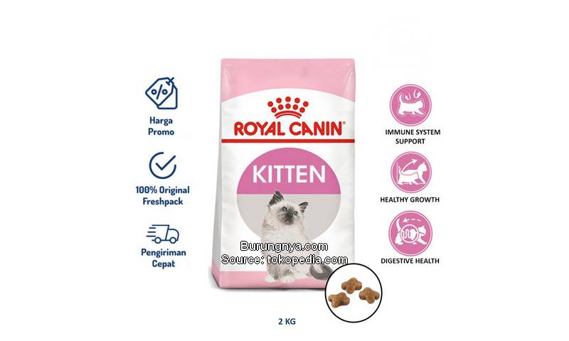 Makanan Kucing yang Bagus Royal Canin Kitten