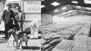 Sejarah Makanan Kucing Royal Canin (royalcanin.com)