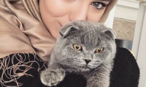 Manfaat Memelihara Kucing dalam Islam (weheartit.com)