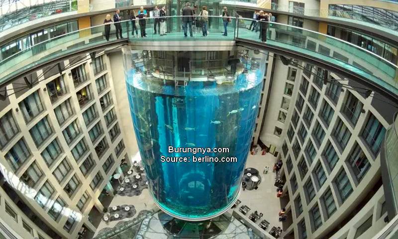 Aquadom Akuarium Silinder Terbesar di Dunia Pecah