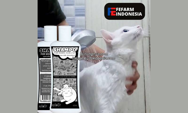 Shampo Kitten Adult Kucing Bulu Putih Shampoo Pemutih Bulu