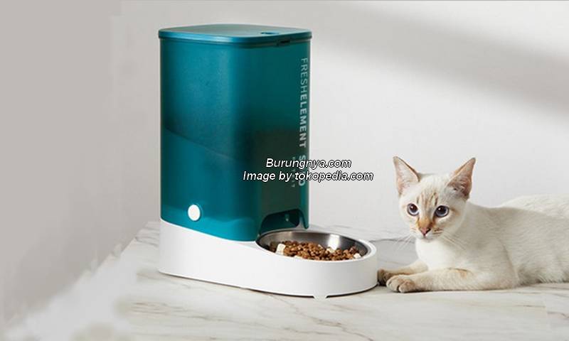 Tempat Makan Kucing Otomatis Terhubung Aplikasi Smartphone