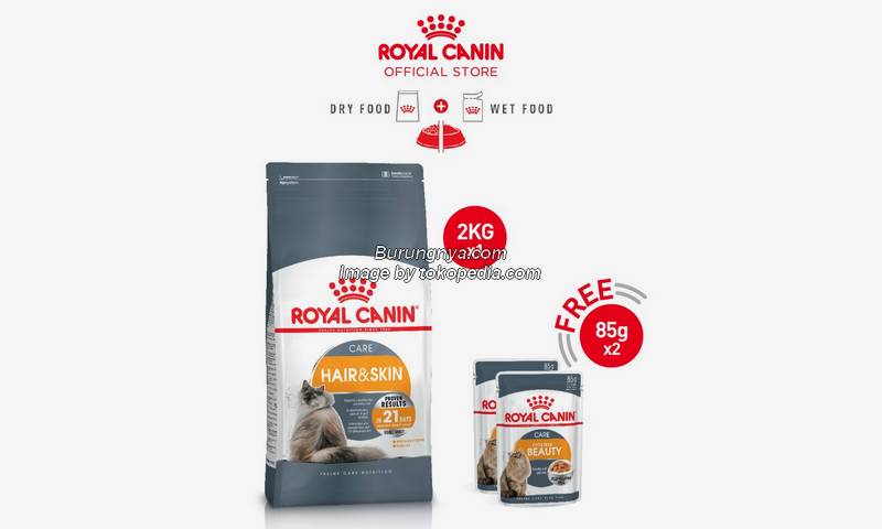 Makanan Kucing Royal Canin Hair & Skin Khusus Bulu