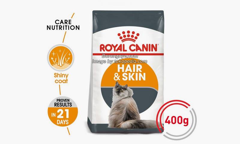Makanan Kucing Untuk Bulu Bagus Royal Canin