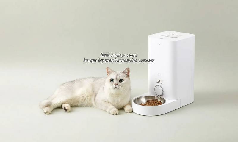 Dispenser Makanan Kucing Terbaik