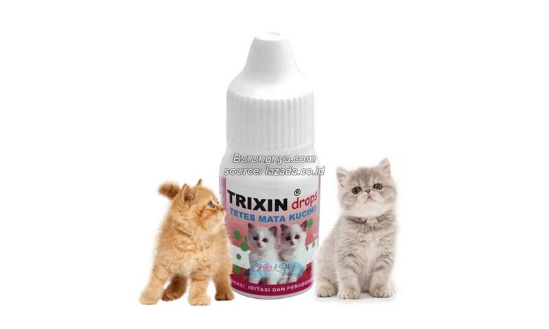 Obat Mata Kucing Trixin
