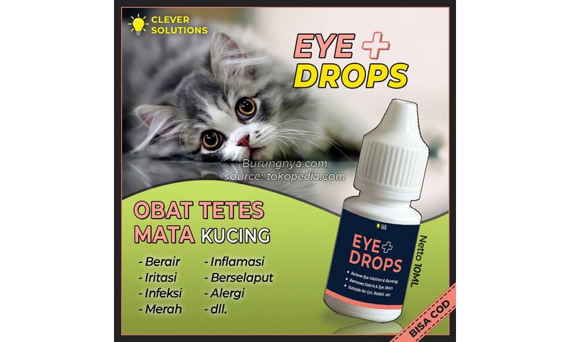 Obat Sakit Mata kucing Eye Drops