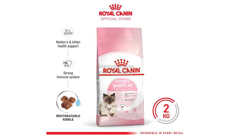 Makanan Kucing Mahal Royal Canin 2023